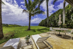 Hale Nanea home